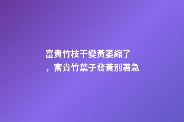富貴竹枝干變黃萎縮了，富貴竹葉子發黃別著急-第1張-觀點-玄機派